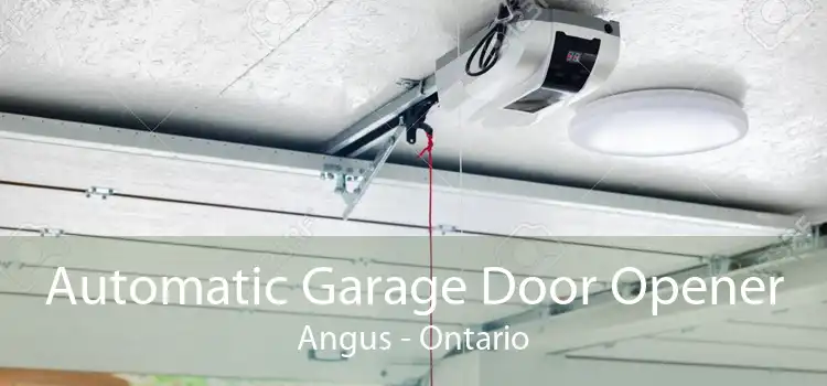 Automatic Garage Door Opener Angus - Ontario