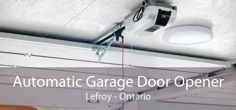 Automatic Garage Door Opener Lefroy - Ontario