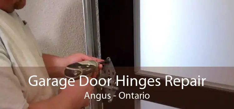Garage Door Hinges Repair Angus - Ontario