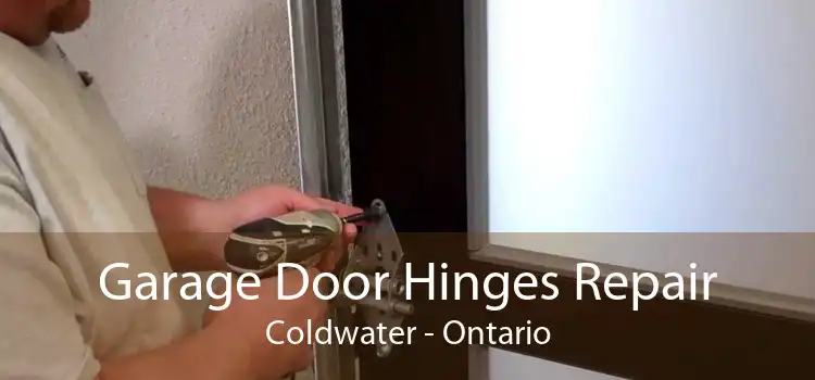 Garage Door Hinges Repair Coldwater - Ontario