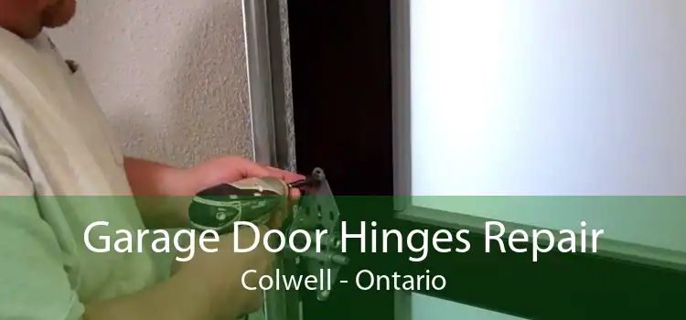 Garage Door Hinges Repair Colwell - Ontario