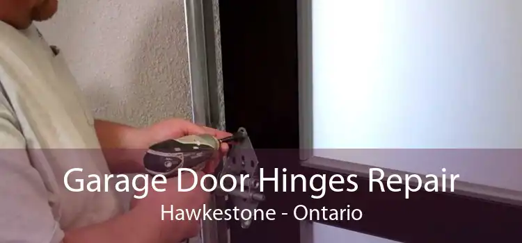 Garage Door Hinges Repair Hawkestone - Ontario