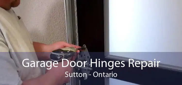 Garage Door Hinges Repair Sutton - Ontario