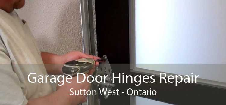 Garage Door Hinges Repair Sutton West - Ontario