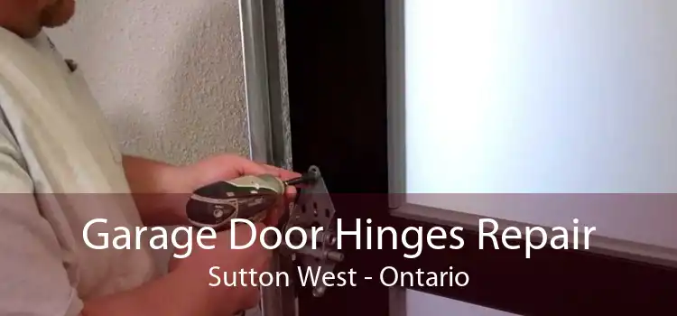 Garage Door Hinges Repair Sutton West - Ontario