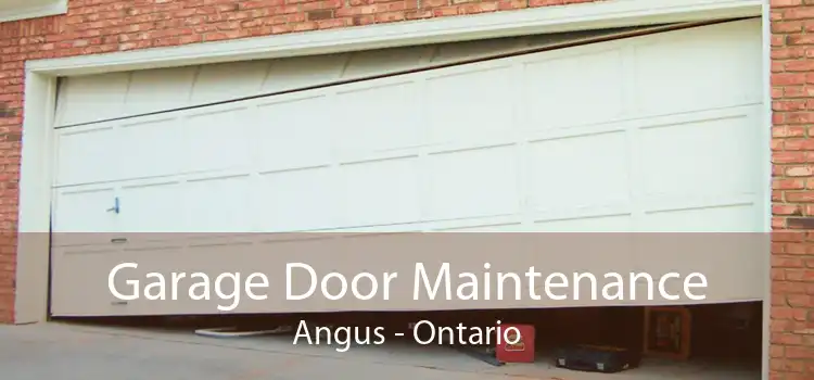 Garage Door Maintenance Angus - Ontario