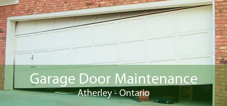 Garage Door Maintenance Atherley - Ontario