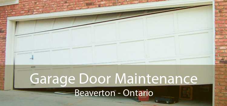 Garage Door Maintenance Beaverton - Ontario