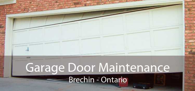 Garage Door Maintenance Brechin - Ontario