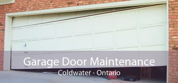 Garage Door Maintenance Coldwater - Ontario