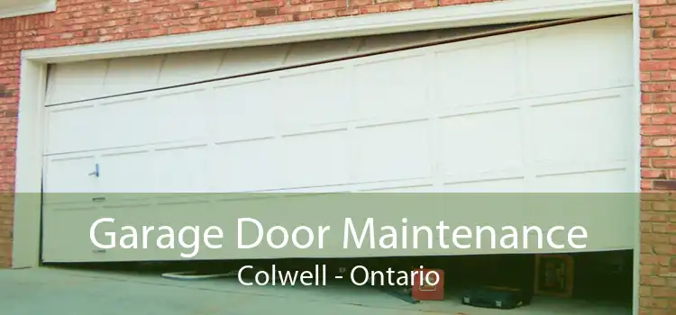 Garage Door Maintenance Colwell - Ontario