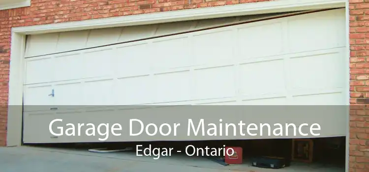 Garage Door Maintenance Edgar - Ontario