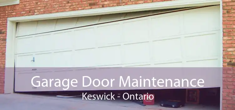 Garage Door Maintenance Keswick - Ontario