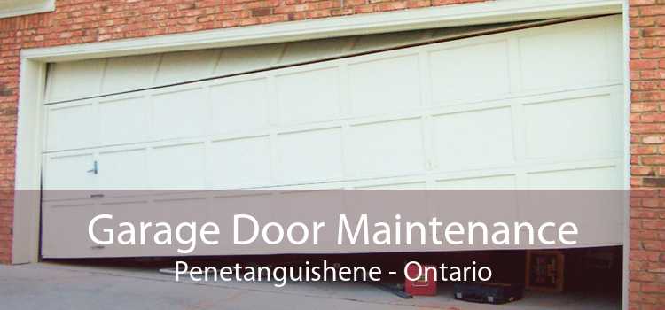 Garage Door Maintenance Penetanguishene - Ontario