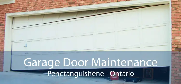 Garage Door Maintenance Penetanguishene - Ontario