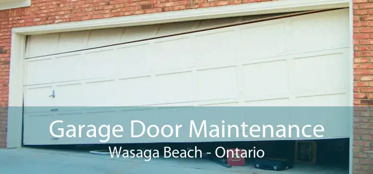 Garage Door Maintenance Wasaga Beach - Ontario