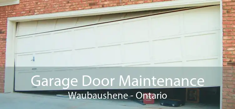 Garage Door Maintenance Waubaushene - Ontario