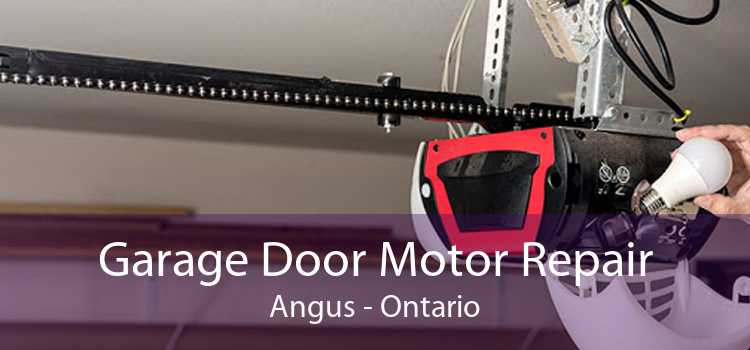 Garage Door Motor Repair Angus - Ontario