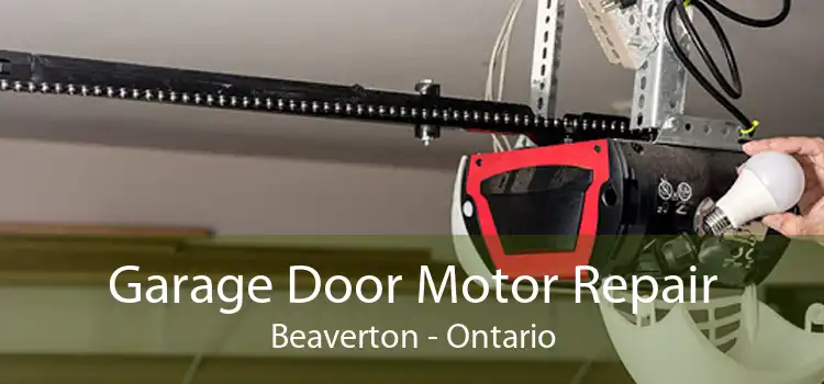 Garage Door Motor Repair Beaverton - Ontario