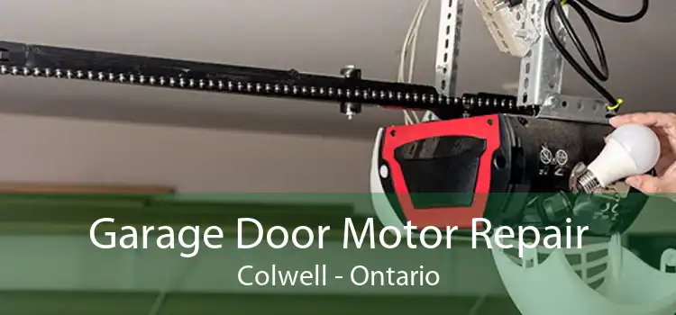 Garage Door Motor Repair Colwell - Ontario