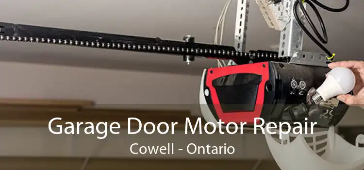 Garage Door Motor Repair Cowell - Ontario