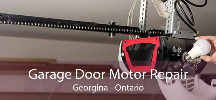 Garage Door Motor Repair Georgina - Ontario