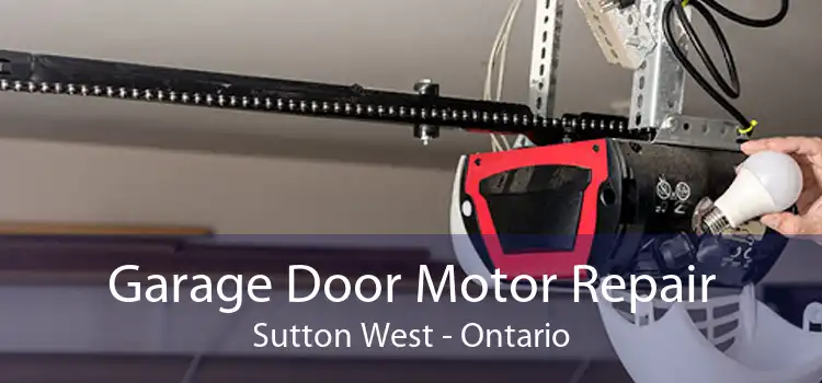 Garage Door Motor Repair Sutton West - Ontario