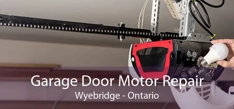 Garage Door Motor Repair Wyebridge - Ontario