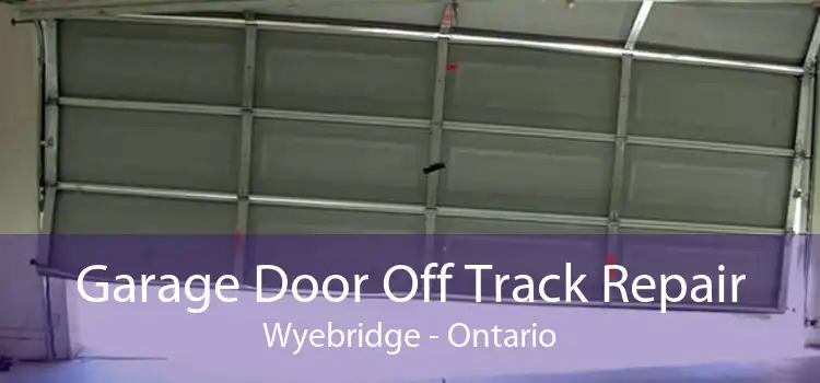Garage Door Off Track Repair Wyebridge - Ontario