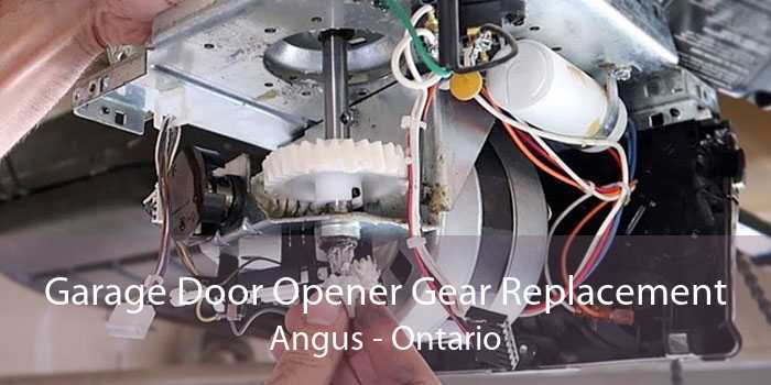 Garage Door Opener Gear Replacement Angus - Ontario