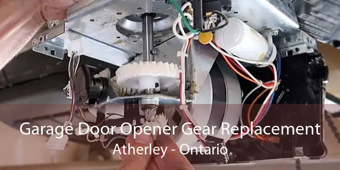 Garage Door Opener Gear Replacement Atherley - Ontario