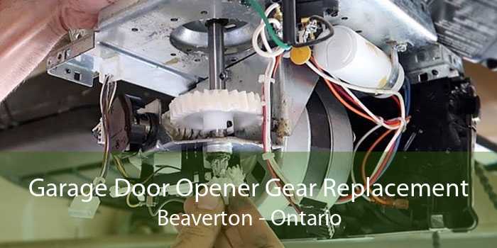 Garage Door Opener Gear Replacement Beaverton - Ontario