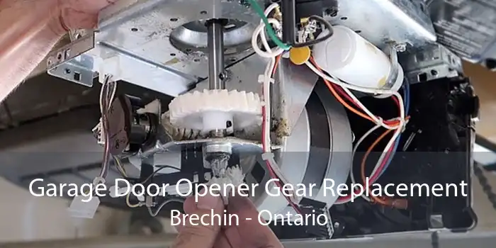 Garage Door Opener Gear Replacement Brechin - Ontario
