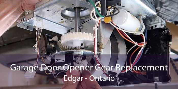 Garage Door Opener Gear Replacement Edgar - Ontario