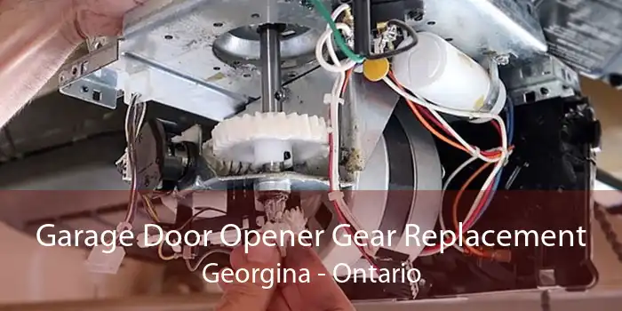 Garage Door Opener Gear Replacement Georgina - Ontario