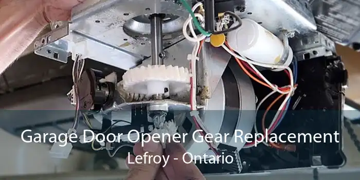 Garage Door Opener Gear Replacement Lefroy - Ontario