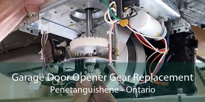 Garage Door Opener Gear Replacement Penetanguishene - Ontario