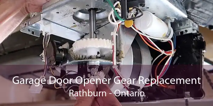 Garage Door Opener Gear Replacement Rathburn - Ontario