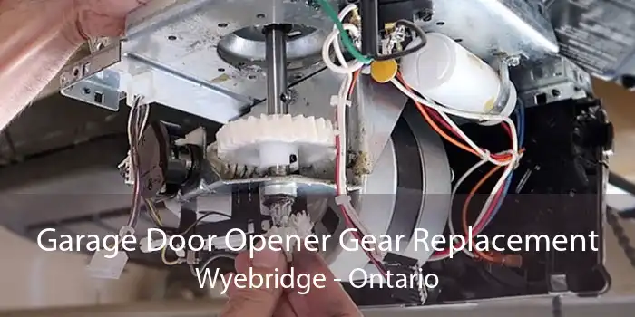 Garage Door Opener Gear Replacement Wyebridge - Ontario