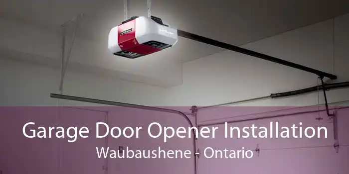 Garage Door Opener Installation Waubaushene - Ontario