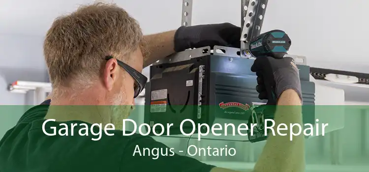 Garage Door Opener Repair Angus - Ontario