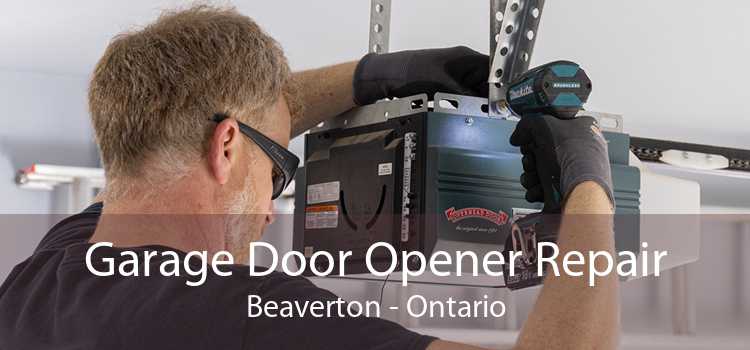 Garage Door Opener Repair Beaverton - Ontario