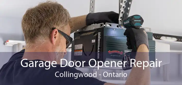 Garage Door Opener Repair Collingwood - Ontario