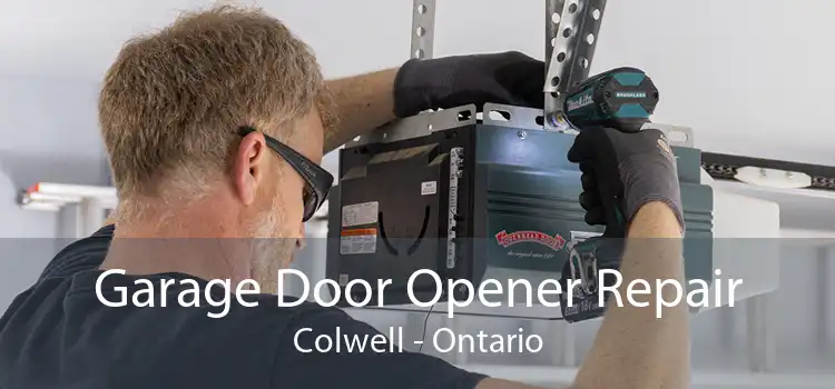 Garage Door Opener Repair Colwell - Ontario