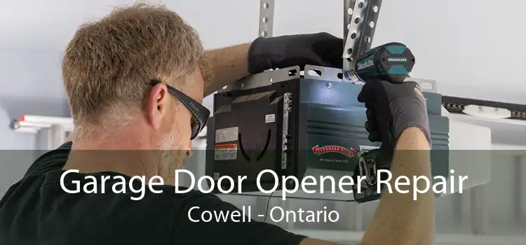Garage Door Opener Repair Cowell - Ontario