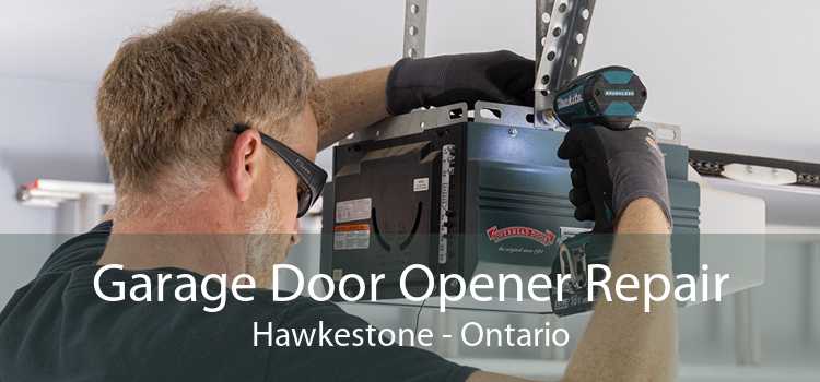 Garage Door Opener Repair Hawkestone - Ontario