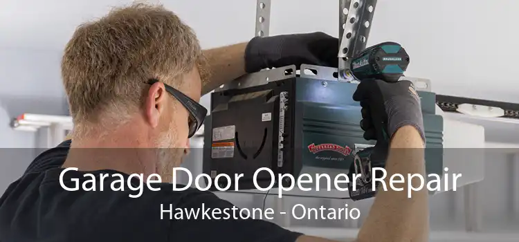 Garage Door Opener Repair Hawkestone - Ontario