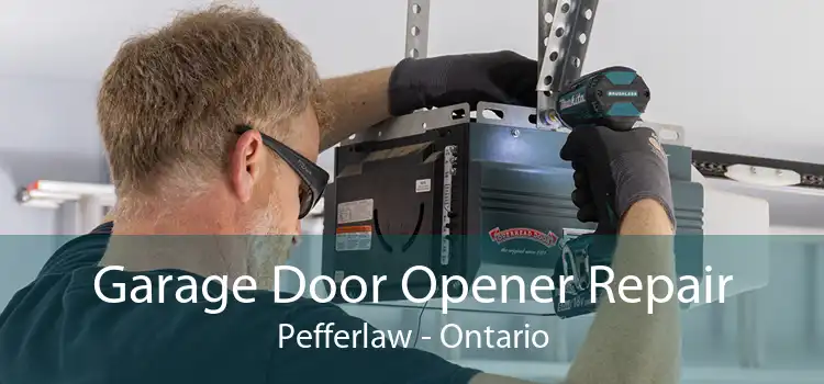 Garage Door Opener Repair Pefferlaw - Ontario
