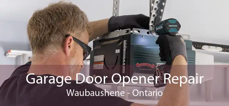 Garage Door Opener Repair Waubaushene - Ontario