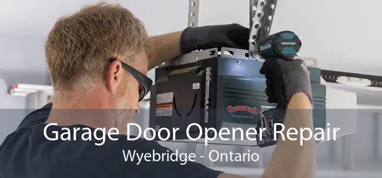 Garage Door Opener Repair Wyebridge - Ontario